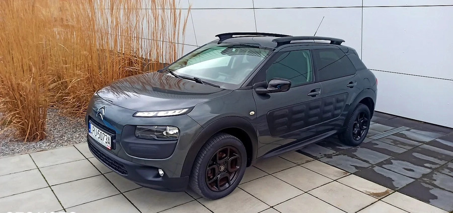 Citroen C4 Cactus cena 37900 przebieg: 89000, rok produkcji 2015 z Sędziszów małe 497